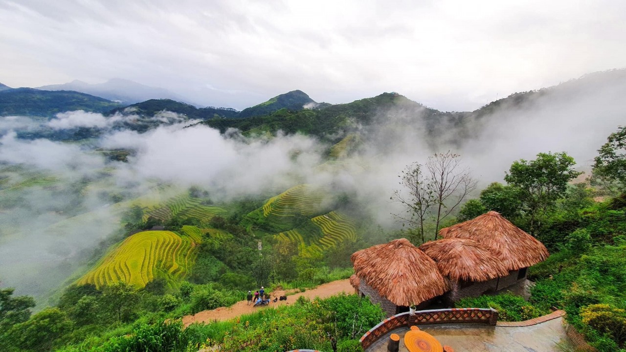 Explore The Beautiful Ripening Rice Season In Hoang Su Phi