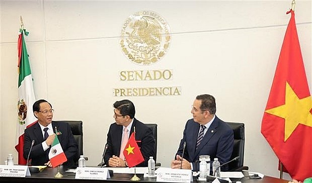 NA Vice Chairman Tran Quang Phuong holds talks with First Vice President of the Senate of Mexico Sergio Pérez Flores. (Photo: VNA)
