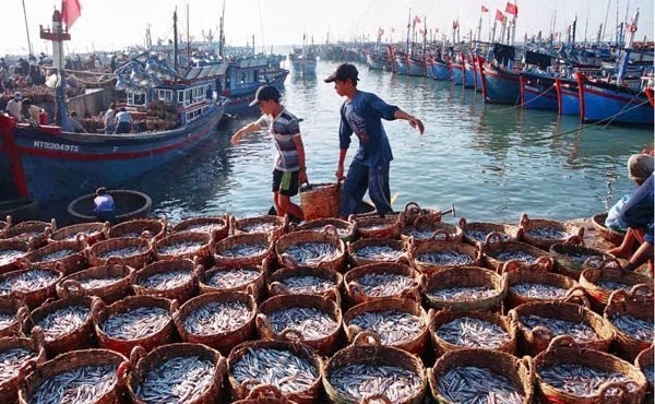 RoK, Vietnam Tightens Cooperation to Fight IUU Fishing