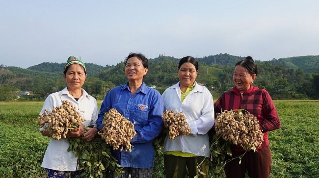 Advancing Women's Economic Empowerment in Vietnam