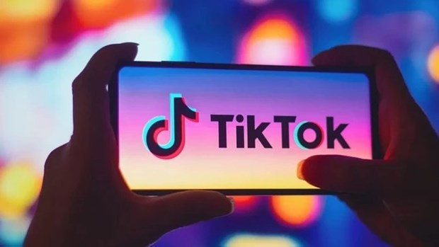 TikTok Singapore Asked to Remove Content That Violates Vietnam’s Laws