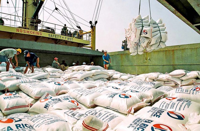 Vietnam Rice Export Surges To New Record Revenue