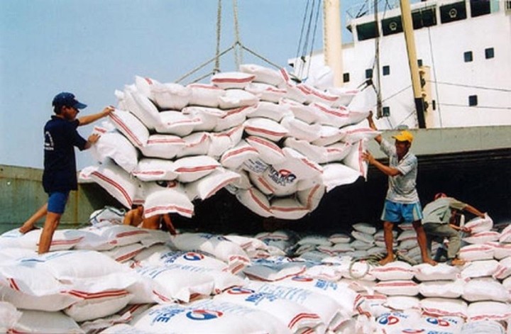 Vietnam Rice Export Surges To New Record Revenue
