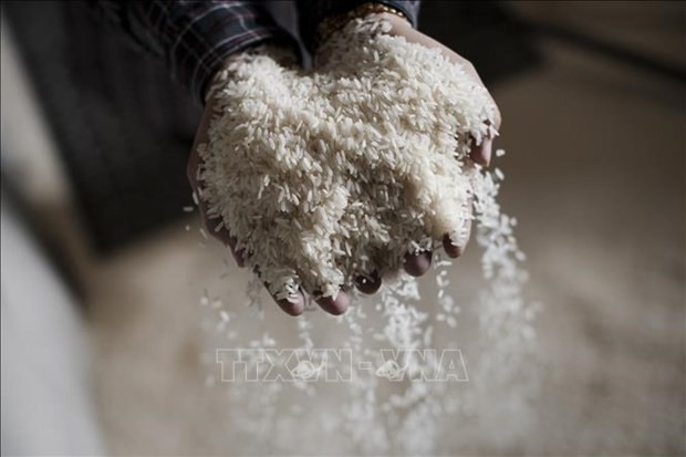 Ample Room for Rice Export From Vietnam to EU