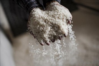 Indonesia Selects Vietnam as Major Source for Rice
