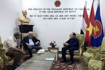 Egyptian Communist Party Interested in Vietnam's Innovation Policies, Experiences