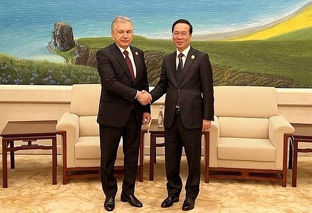 President Vo Van Thuong (R) and Uzbek President Shavkat Mirziyoyev (Photo: VNA)