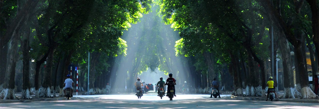 Vietnam’s Weather Forecast (October 21): Cold Spell Enters The Northern Region