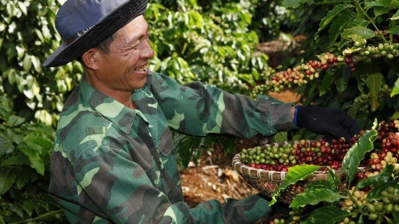 leveraging evfta to boost coffee export growth