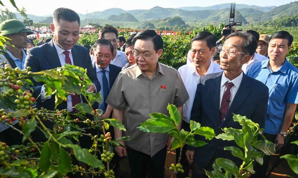 national assembly chairman vuong dinh hue visits coffee farm in son la
