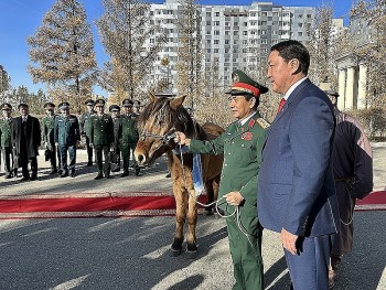 Mongolia Gifts Precious Horses to Vietnam
