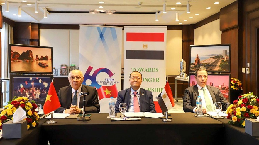 Vietnam And Egypt Exchange Experiences in Attracting Green Finance