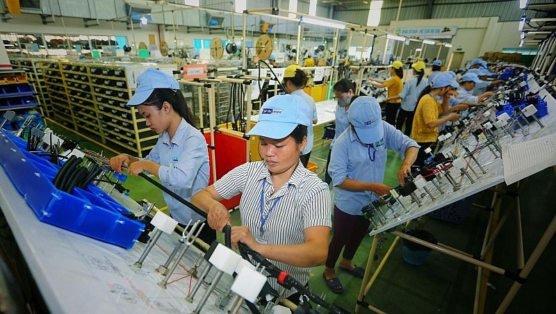 evfta supports vietnam in attracting fdi flows from netherlands