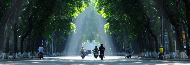 Vietnam’s Weather Forecast (November 11): Sunny Day In The Northern Region