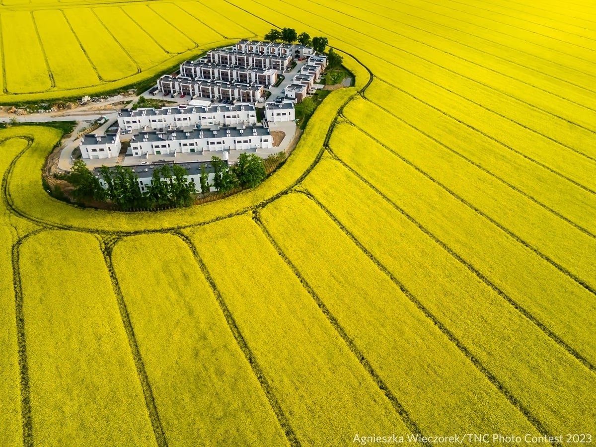 Nature Conservancy Announces Stunning 2023 Photo Contest Winners