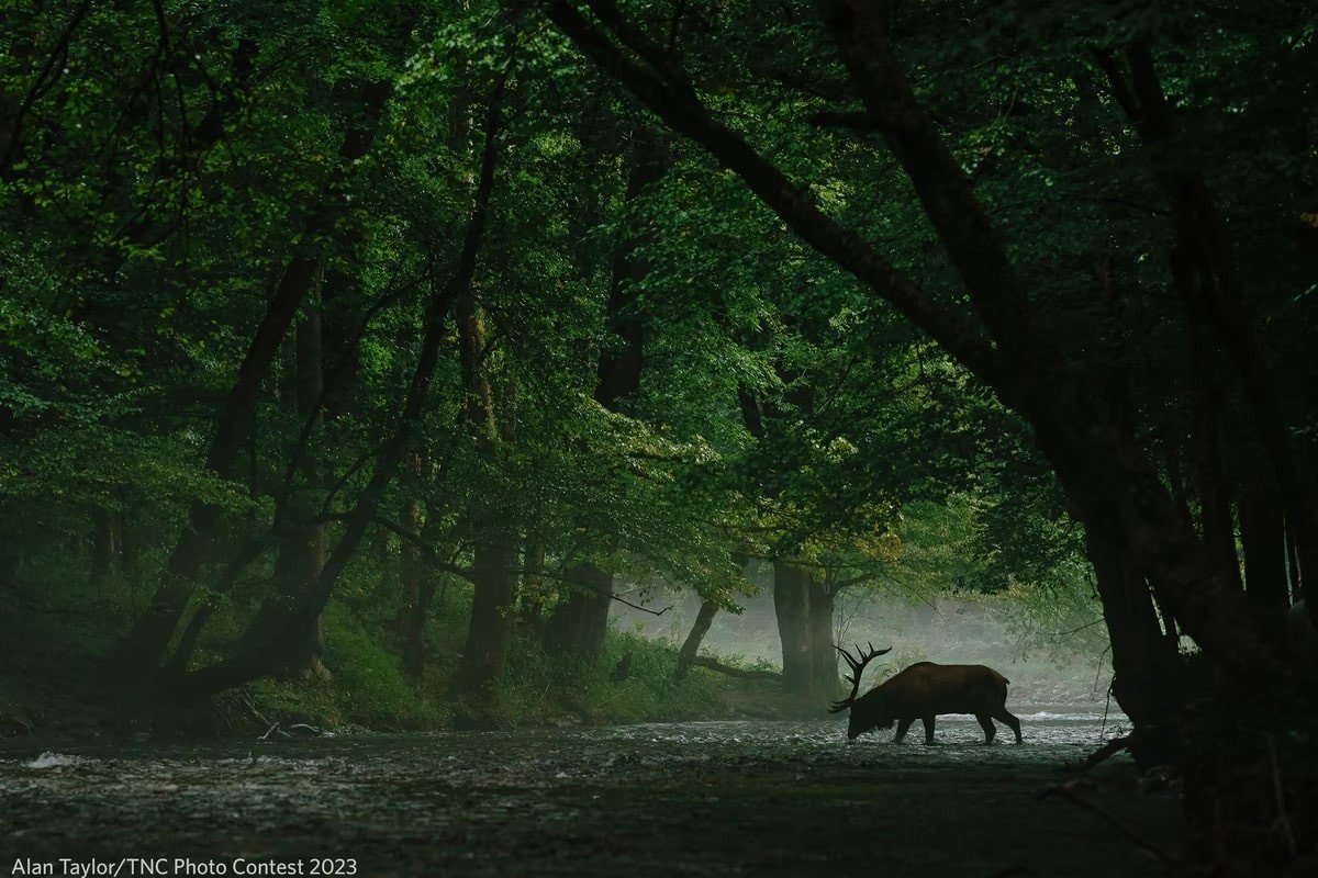 Nature Conservancy Announces Stunning 2023 Photo Contest Winners