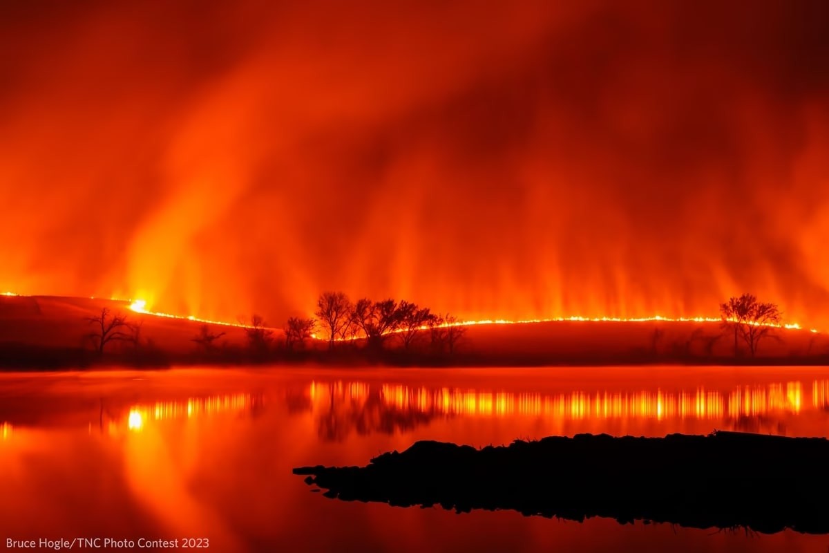 Nature Conservancy Announces Stunning 2023 Photo Contest Winners