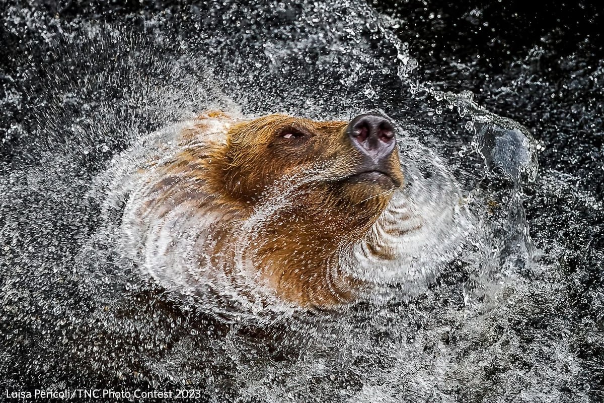 Nature Conservancy Announces Stunning 2023 Photo Contest Winners