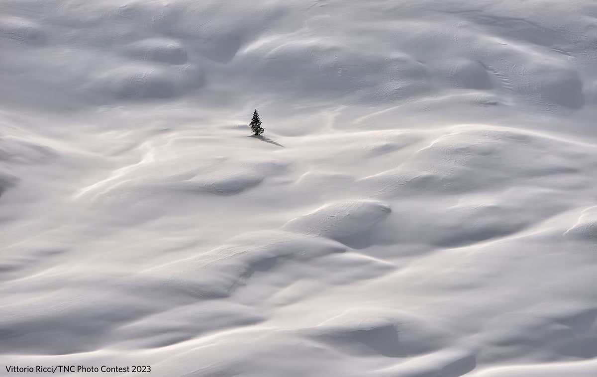 The Nature Conservancy Announces Stunning 2023 Photo Contest Winners