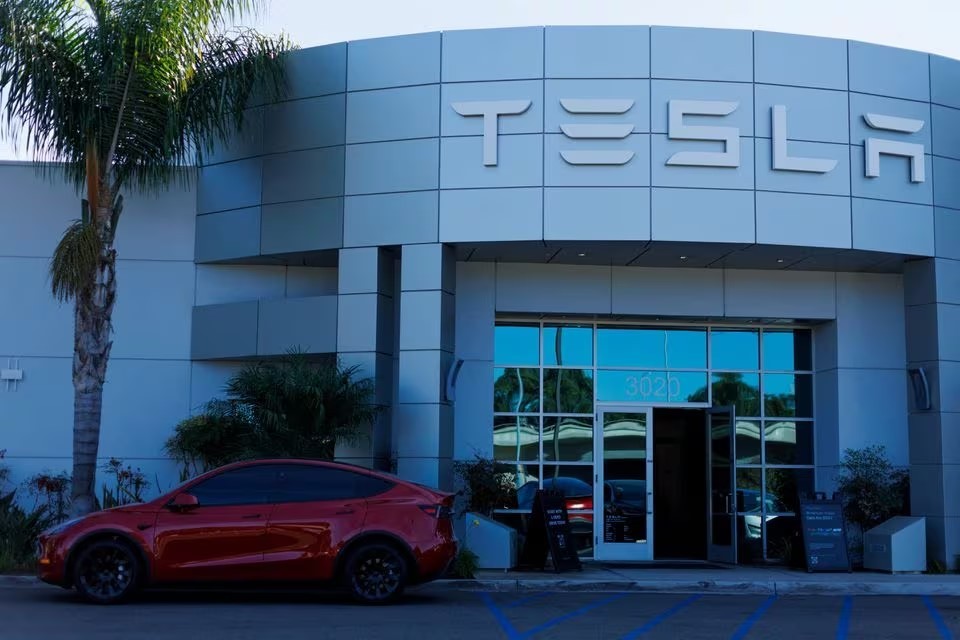 tesla to double its components imports from india trade minister