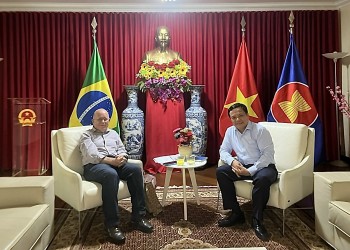 Friendship Association Promotes Vietnam-Brazil Relations