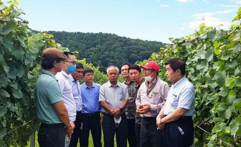 Kon Tum Promotes Economic Diplomacy to Serve Sustainable Development