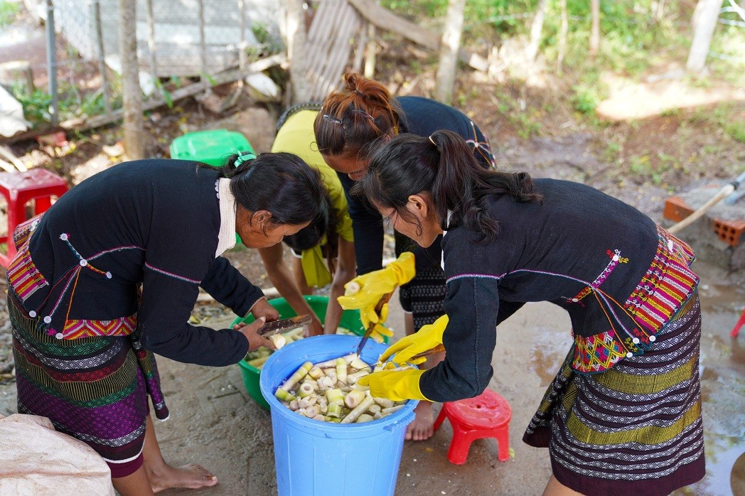 Ireland-funded Program Joins Hand to Improve Life Quality of Disadvantaged People