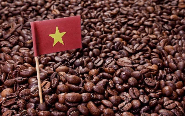 The EU is Vietnam's Largest Coffee Import Market