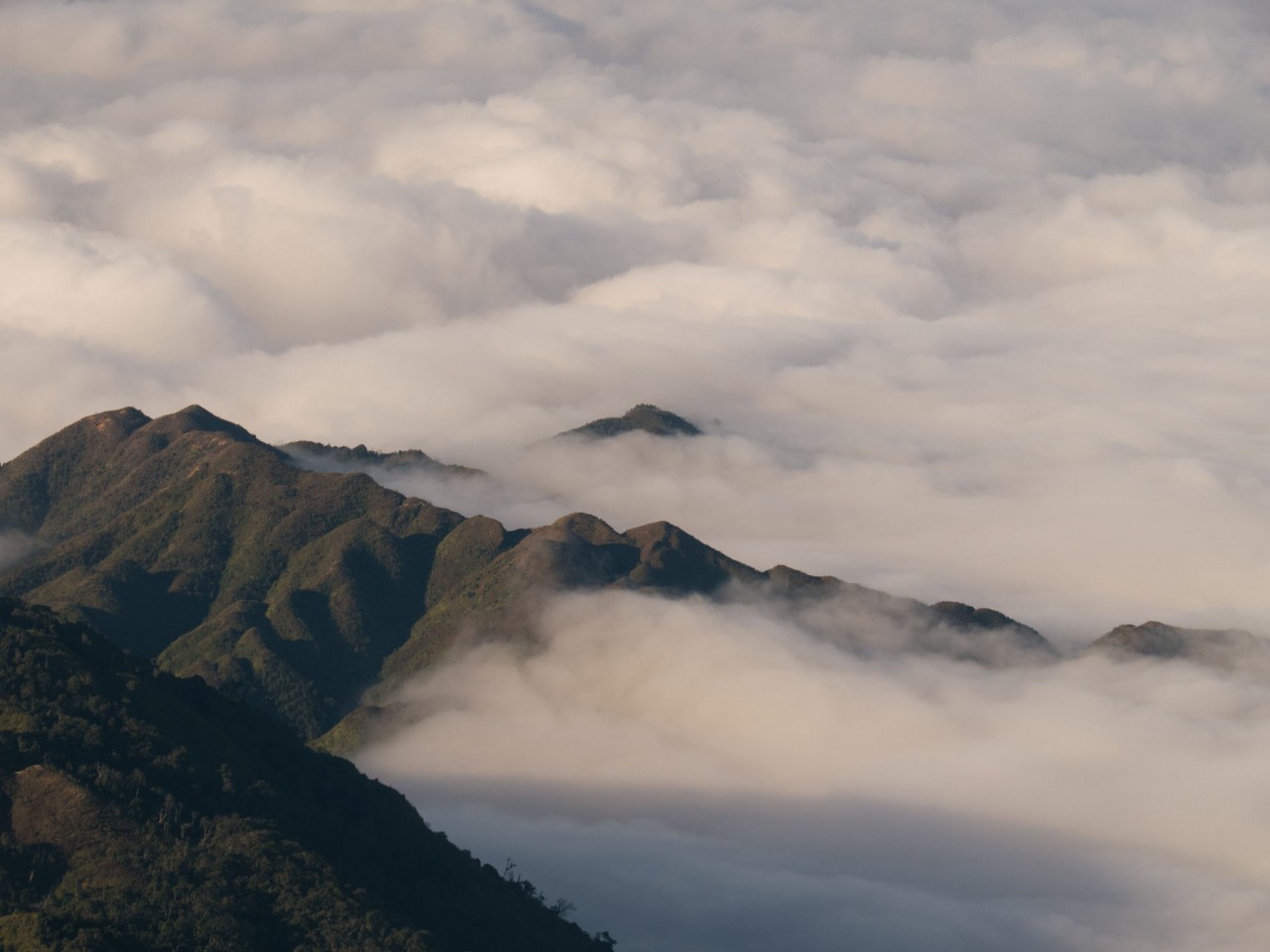 conquer the wild sa mu mountain peak in ta xua