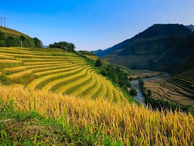 Vietnam Voted One Of The Perfect Destinations In 2024