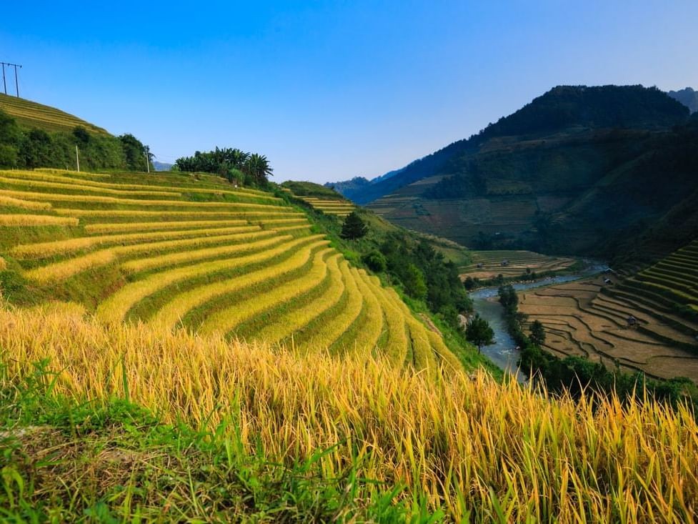 vietnam voted one of the perfect destinations in 2024