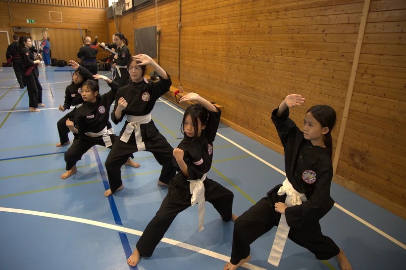 popularizing vietnamese traditional martial art in europe