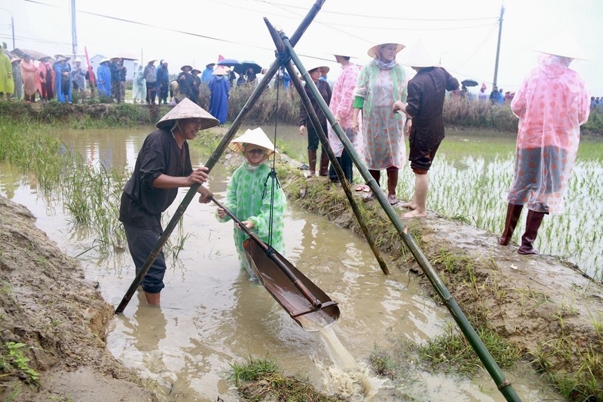 International Tourists Experience Working On Hoi An Rice Fields