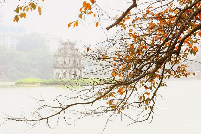 Vietnam’s Weather Forecast (Jan. 8): Light Fog With Drizzles Continue In Northern Region