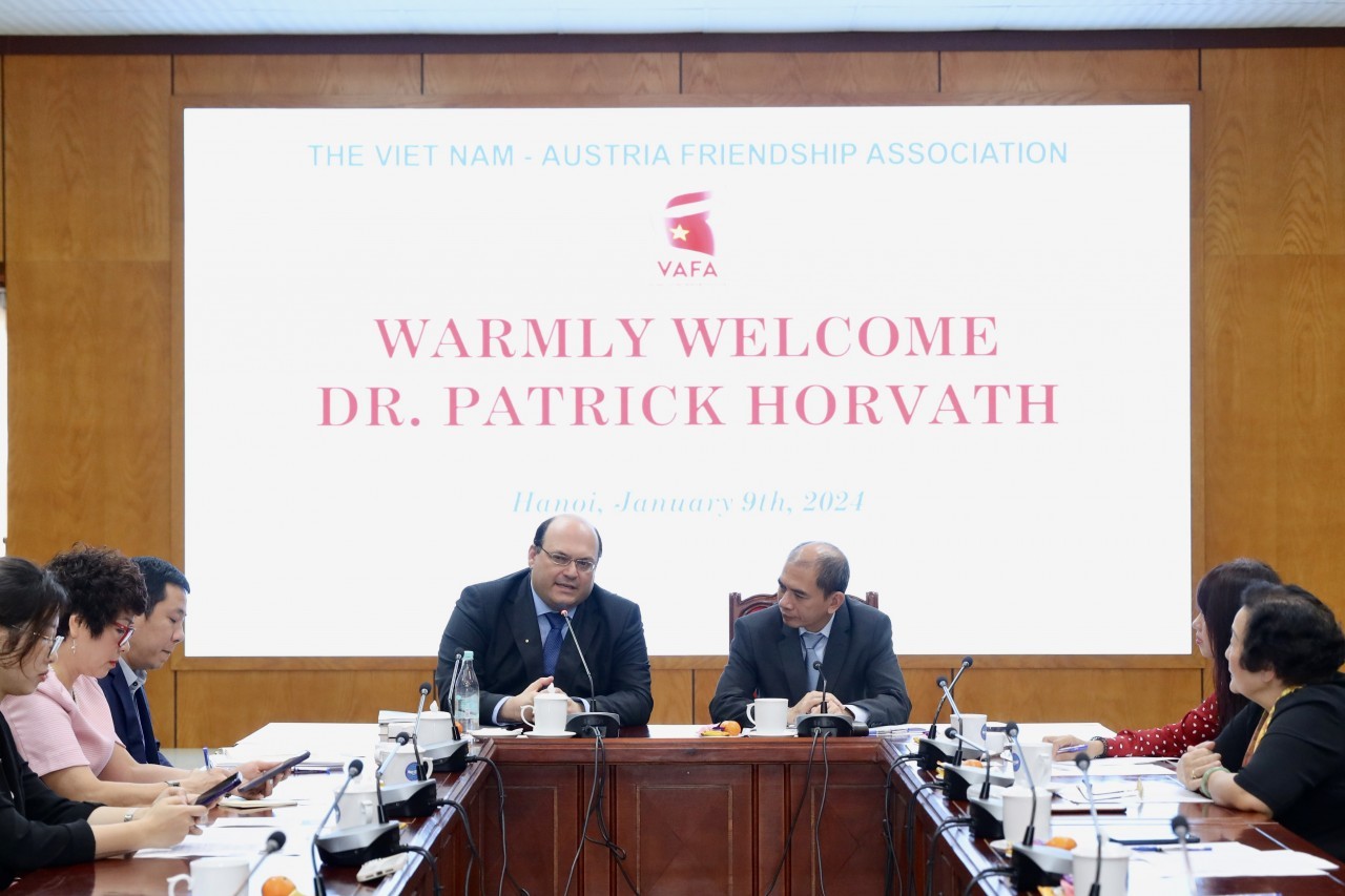 Expert Suggests Multifaceted Approaches For Enhancing Vietnam - Austria Cooperation