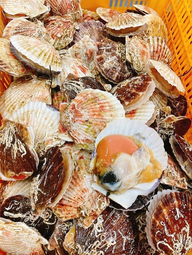 Japanese Scallops to be Processed in Vietnam