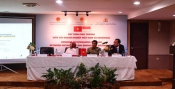 Vietnam News Today (Jan. 11): Vietnam-Indonesia Economic Ties a Bright Spot Amid Impressive Growth