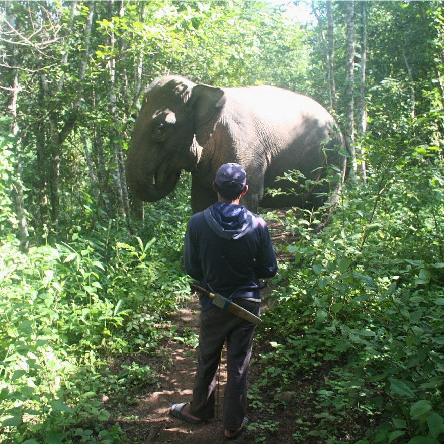 An Afternoon with Yok Don's Elephant Guardians