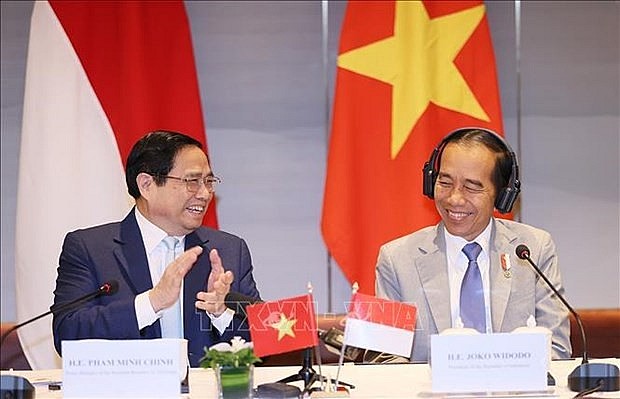 Prime Minister Pham Minh Chinh (L) and Indonesian President Joko Widodo. (Photo: VNA)