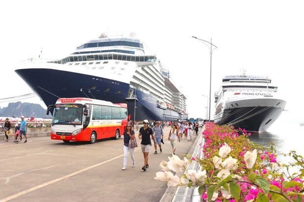 Cruise Ships To Bring Over 80,000 Foreign Tourists to Quang Ninh This 2024