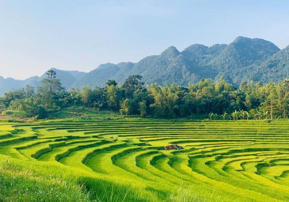 The Ritz Herald Recommends 9 Hidden Gems To Visit In Vietnam