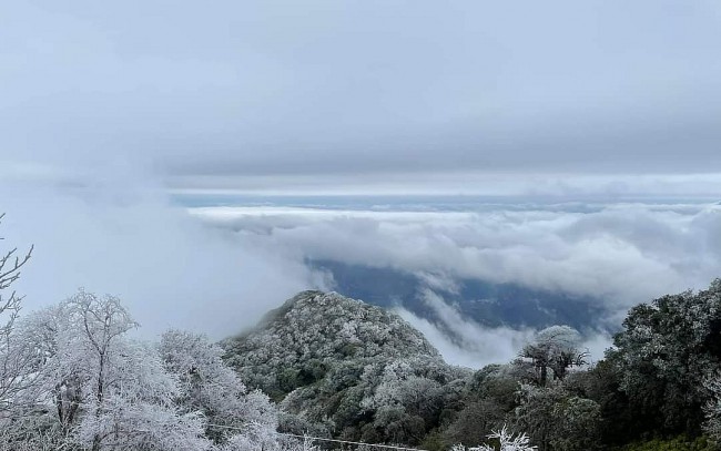 Vietnam’s Weather Forecast (January 29): Harmful Cold Continues In The Northern Regions