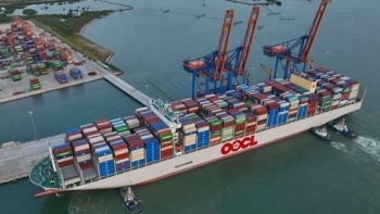 Vietnam News Today (Jan. 30): Vietnam’s Export Revenue Up 4.1% in First Half of January