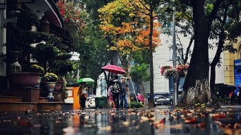 Vietnam’s Weather Forecast (February 1): The Temperatures Keep Getting Warmer In Hanoi