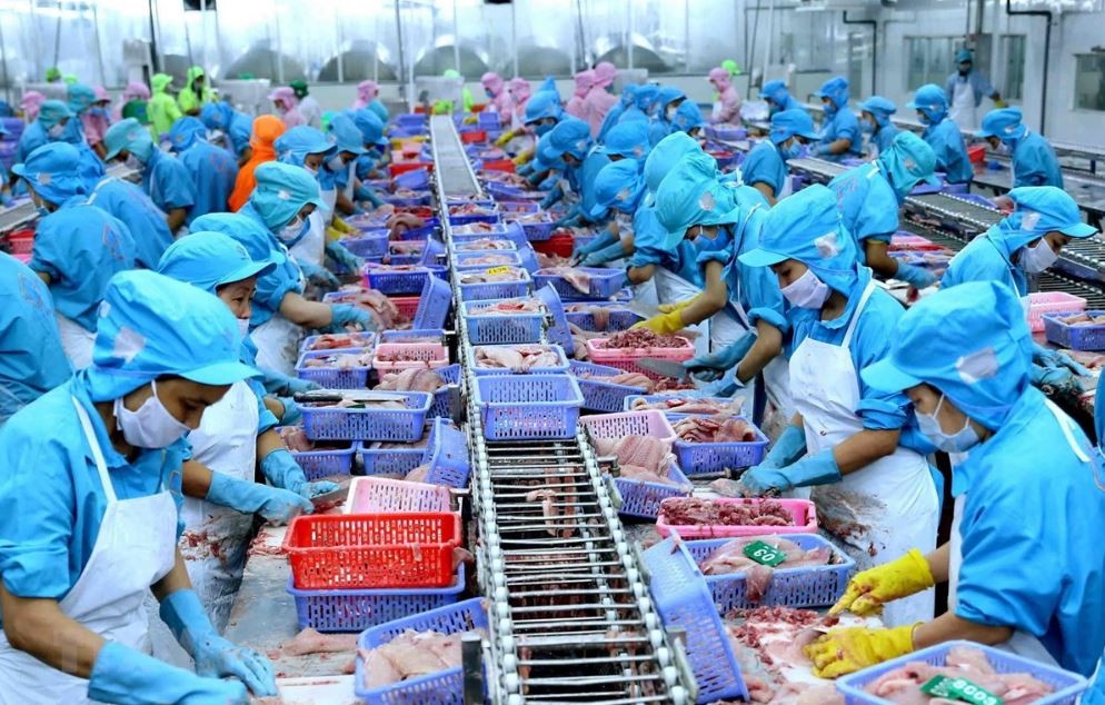 Vietnam's Seafood exports to South Korean Market Increased by 51% after 10 Years