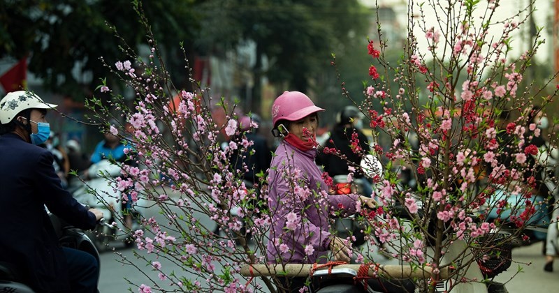 Vietnam’s Weather Forecast (Feb. 16): Light Rain And Low Temperature In The Northern Region