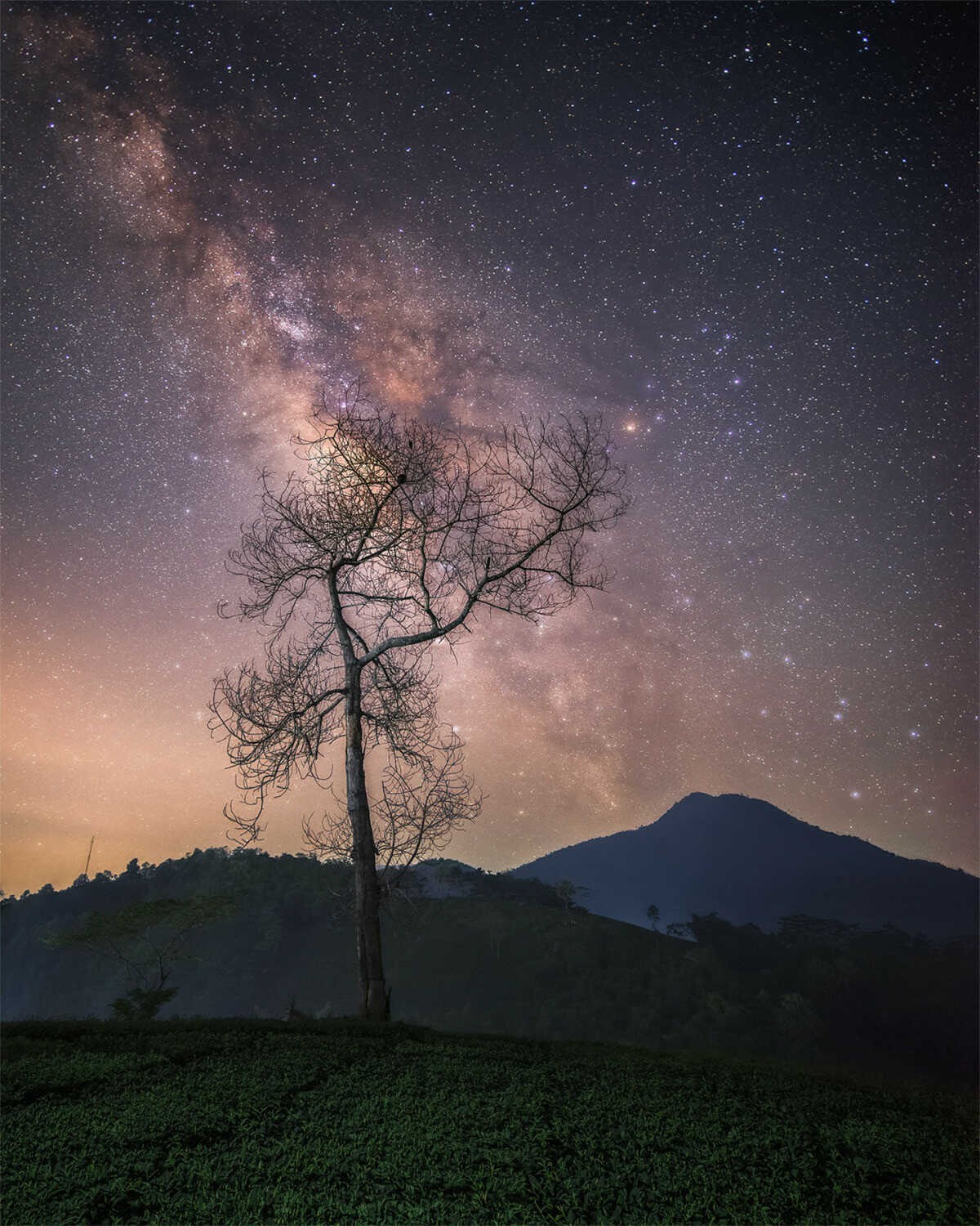 witness the dreamy milky way on cu nhu san mountain peak