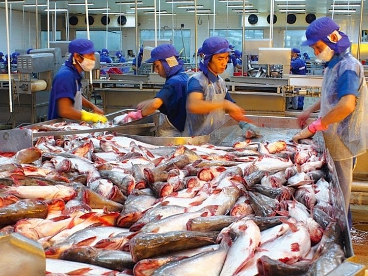 vietnam news today march 17 positive signs ahead for vietnamese seafood exports to us