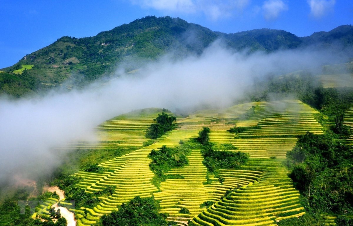 Enjoy A Spring Trip To The Highlands Of Northern Vietnam