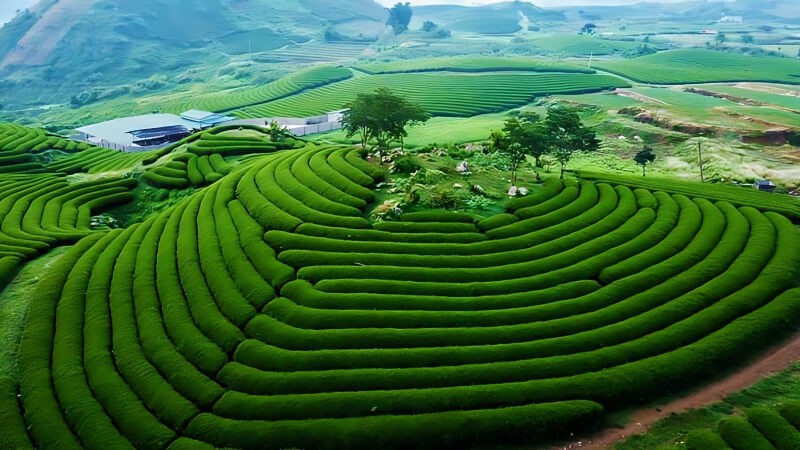 Enjoy A Spring Trip To The Highlands Of Northern Vietnam